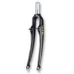 Bicycle Front Forks