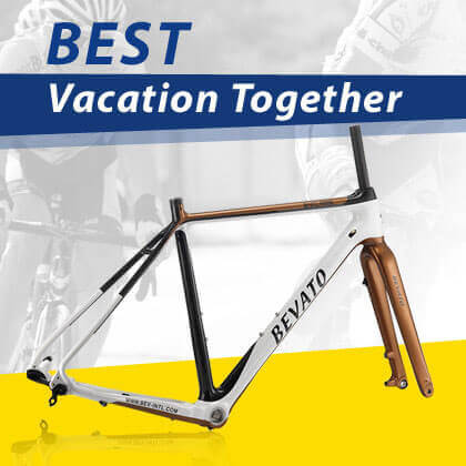 Bicycle Frame