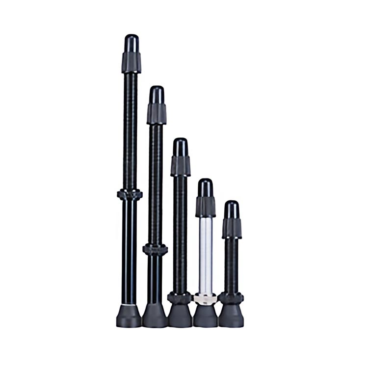 BWT-Valve-L